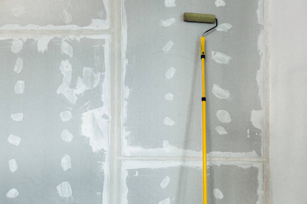 Best Mold Documentation for Insurance Claims  in Whitinsville, MA