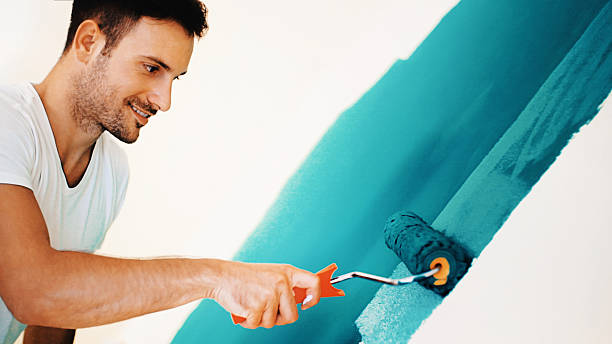 Professional Mold Removal in Whitinsville, MA